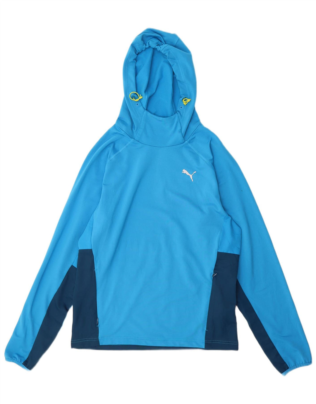 Puma Pull à capuche pour homme Petit Bleu Colorblock Polyester