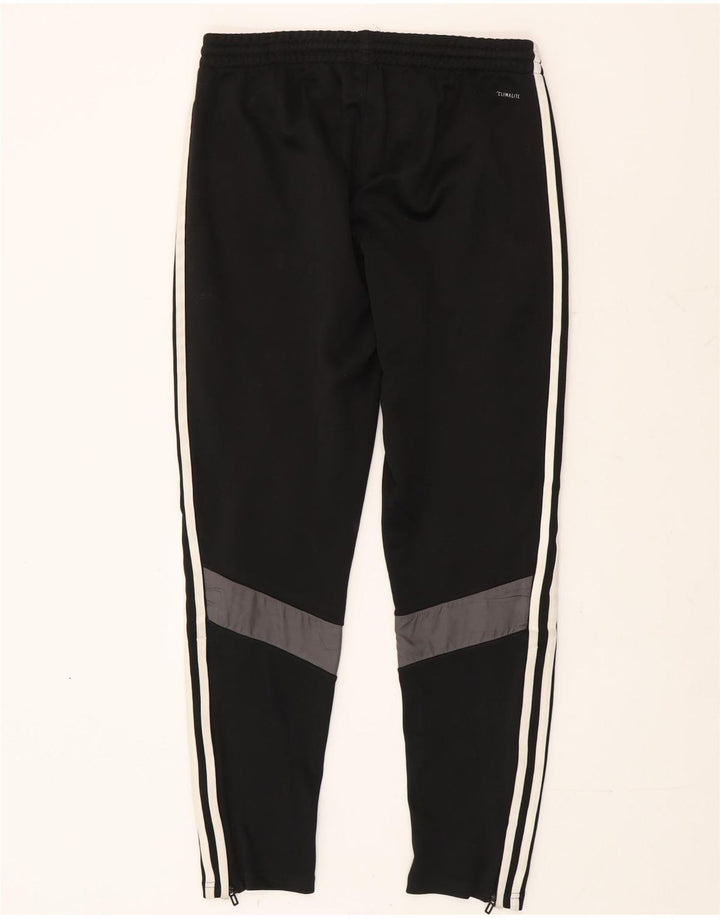 Adidas Pantalon de survêtement Climalite pour homme Petit Noir Polyester