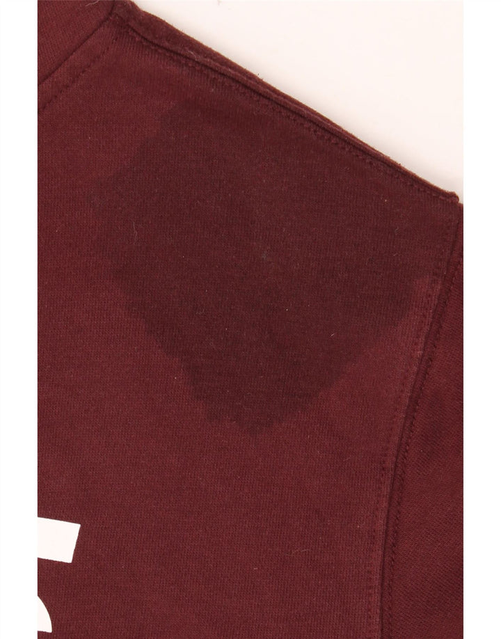 VANS Pull à capuche graphique pour homme Petit coton bordeaux