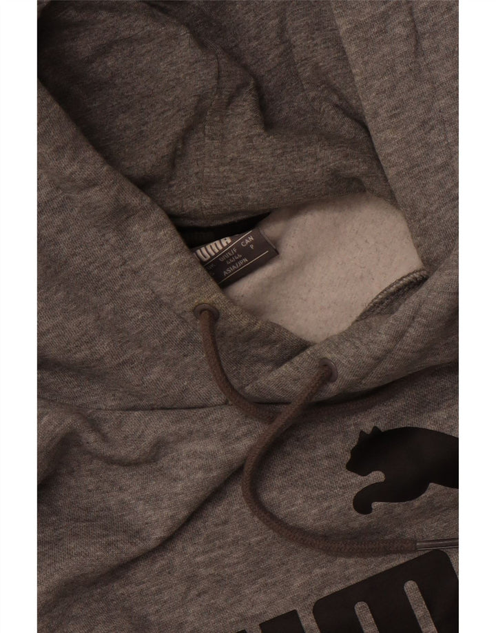 Puma Pull à Capuche Graphic Homme Gris Moyen