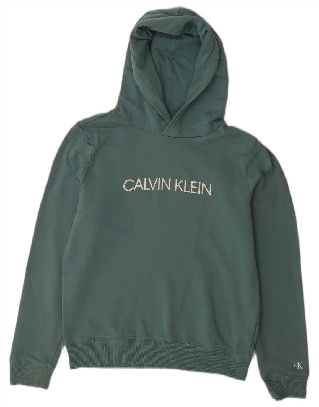 CALVIN KLEIN JEANS Pull à capuche graphique pour garçon 13-14 ans Vert Coton