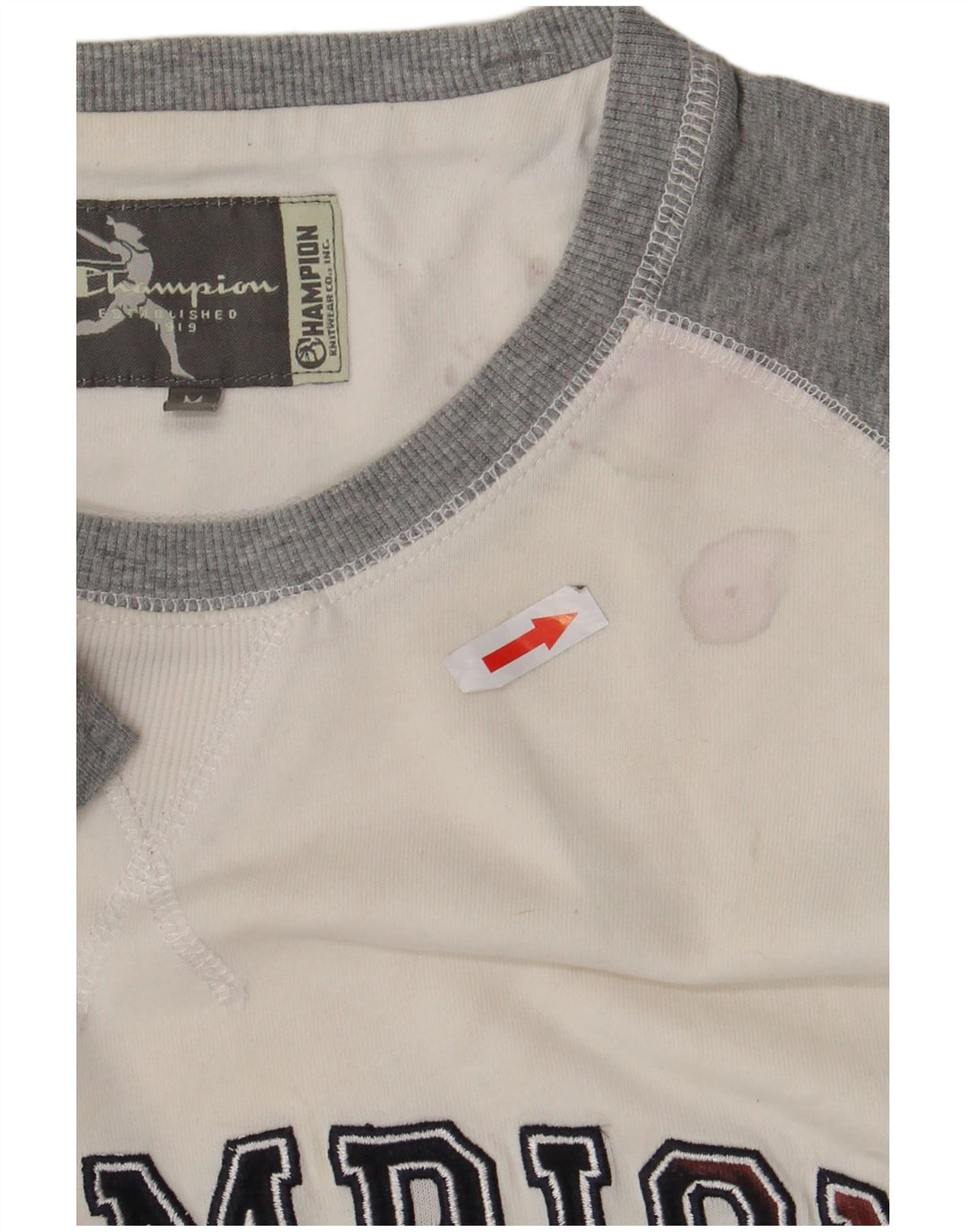 Champion T-Shirt Graphique Femme UK 14 Coton Colorblock Blanc Moyen