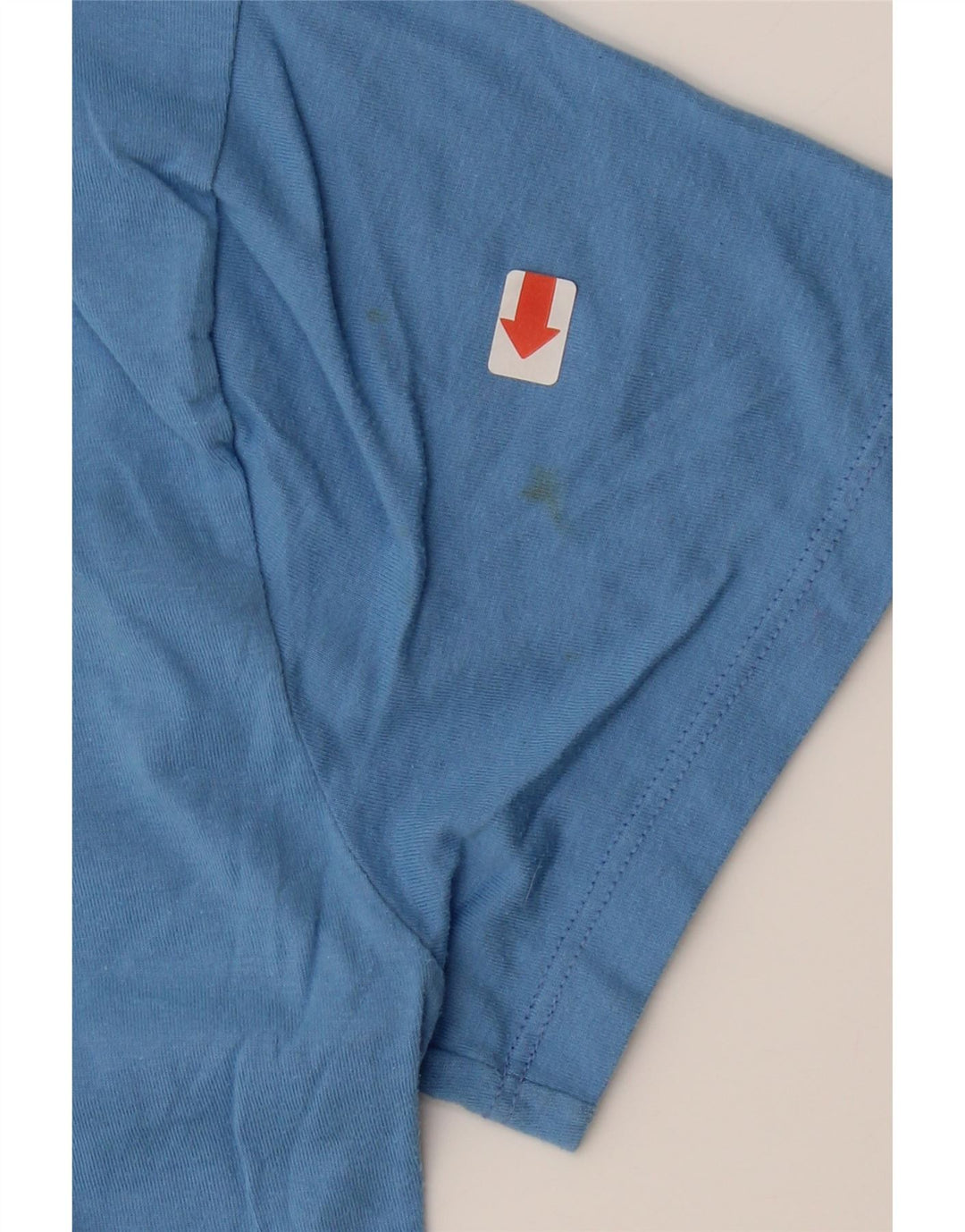 CHAMPION Womens T-Shirt Top UK 14 Medium Blue Polyester Vintage Champion and Second-Hand Champion from Messina Hembry 