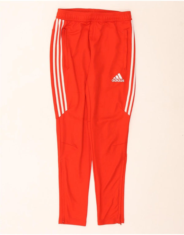 ADIDAS Pantalon de survêtement Climacool pour femme UK 10 Small Rouge Polyester