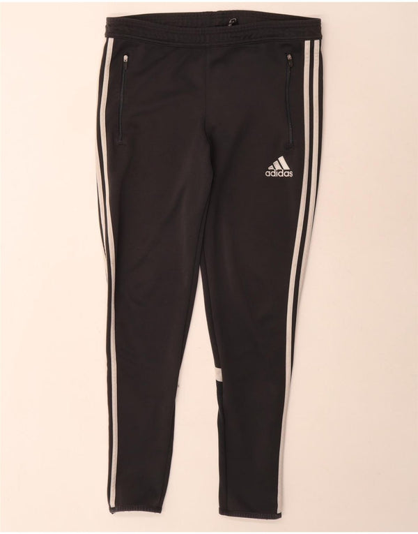 Adidas Pantalon de survêtement Climalite pour homme Petit Noir Polyester Colorblock