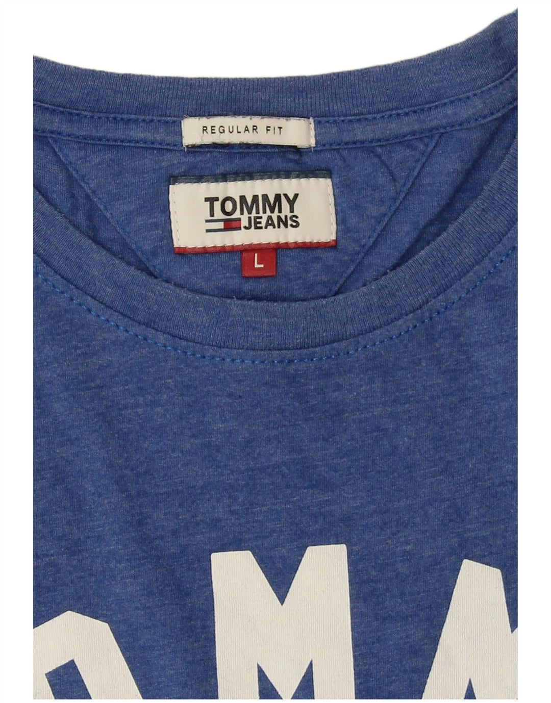 Tommy Hilfiger T-shirt graphique coupe régulière pour hommes, grand bleu, polyester