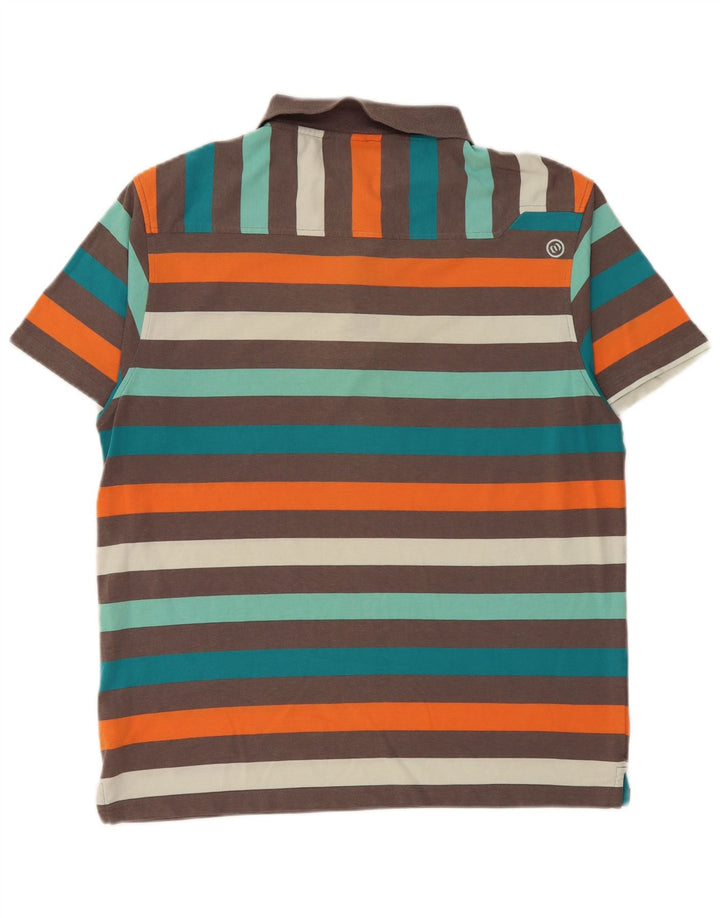 Polo Homme Animal Grand Rayé Multicolore Polyester