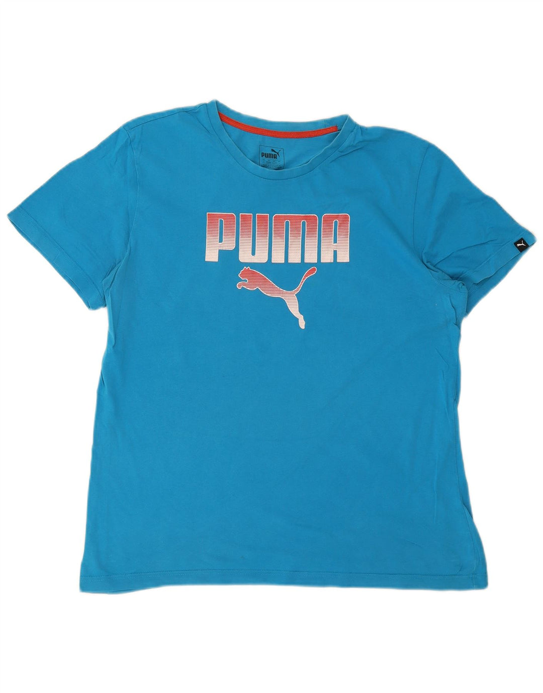 Puma T-Shirt Graphique Homme Grand Bleu