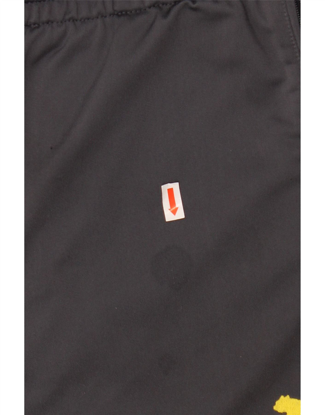 PUMA Pantalon de Survêtement BVB Dortmund XL Homme Gris Colorblock