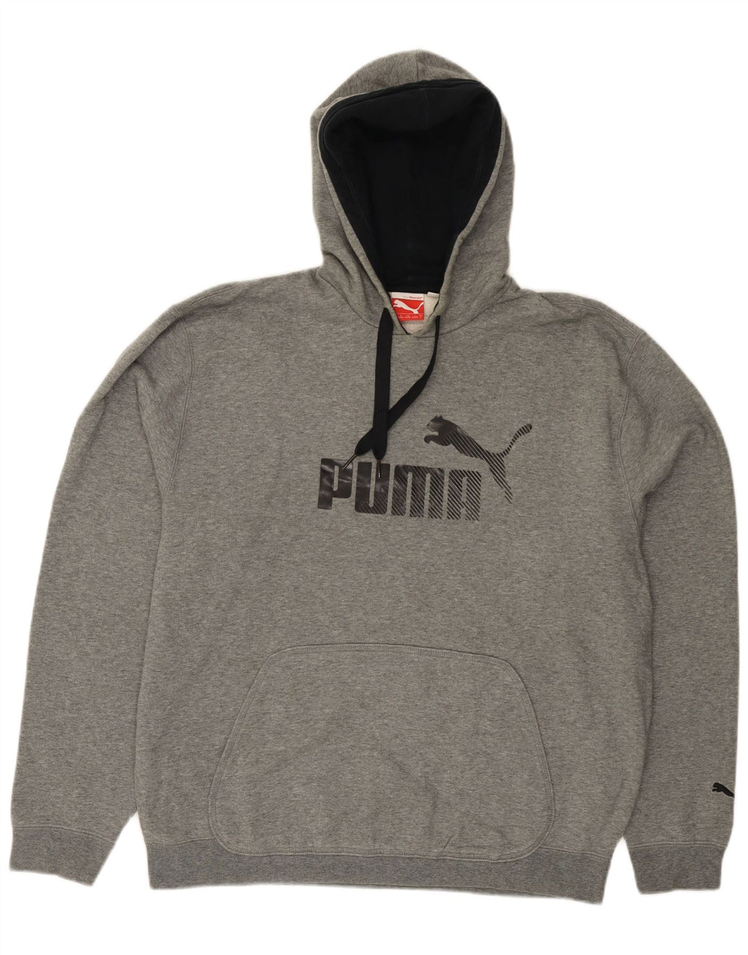 PUMA Pull à capuche graphique pour hommes, grand, gris, coton