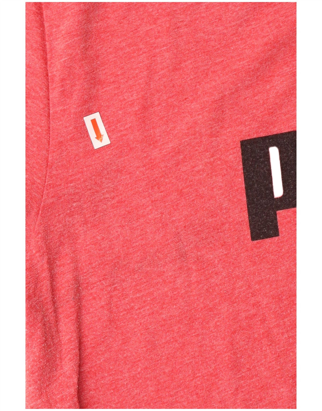 Puma T-Shirt Graphique Homme Grand Rose