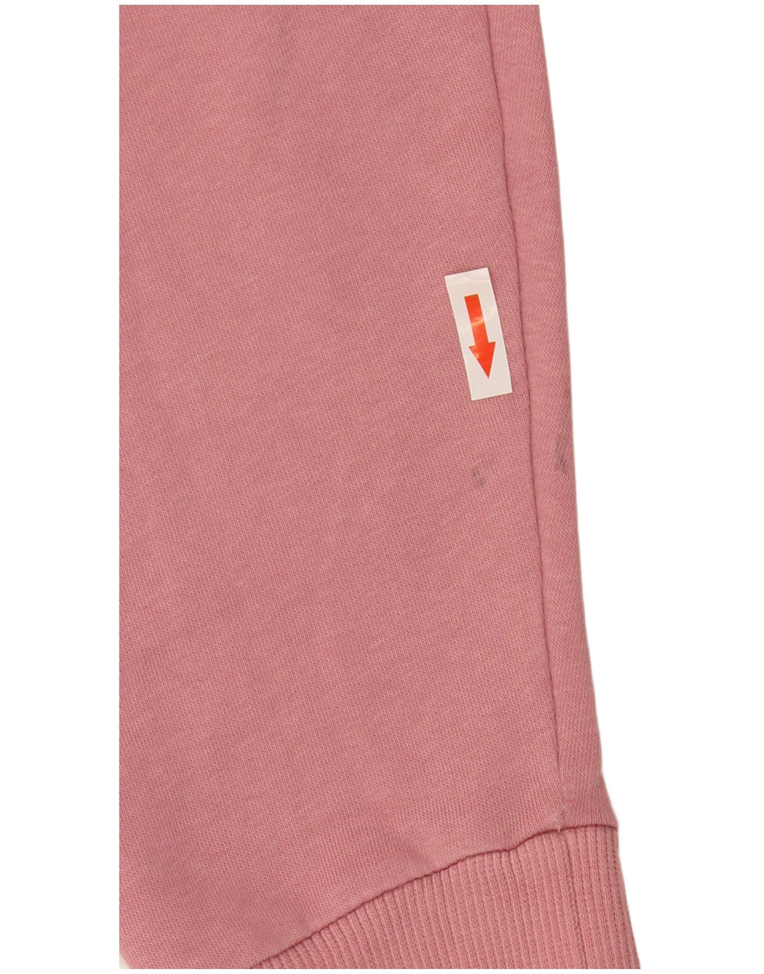 Puma Pull à Capuche Graphique Homme Rose Moyen