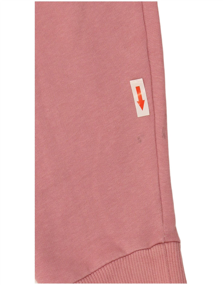 Puma Pull à Capuche Graphique Homme Rose Moyen