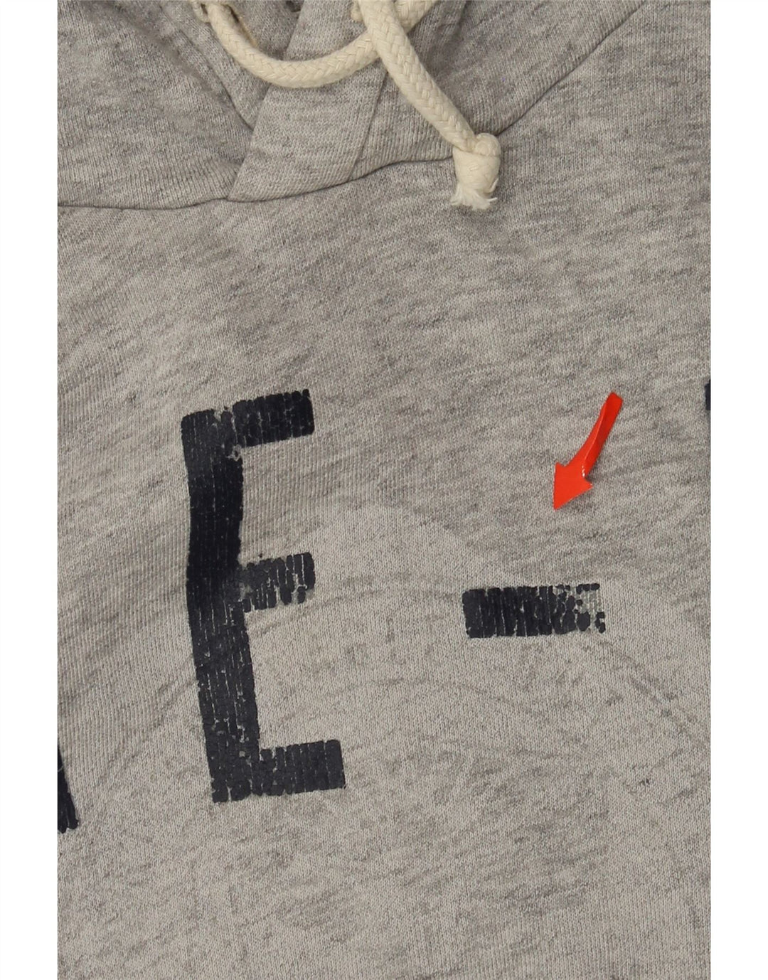 American Eagle Pull à Capuche Graphique Homme Gris Moyen Coton