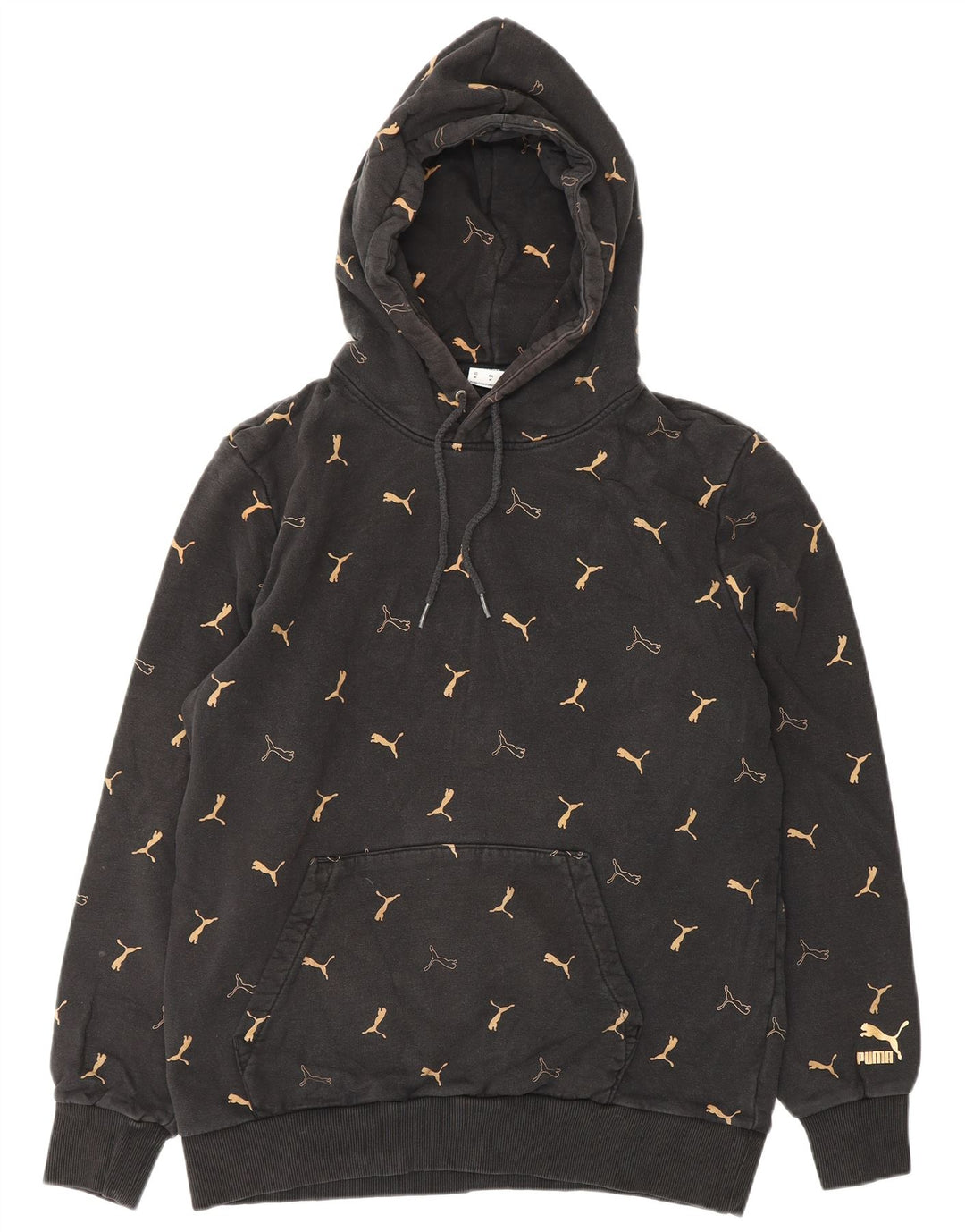 PUMA Sweat à Capuche Graphique Homme Noir Moyen Coton