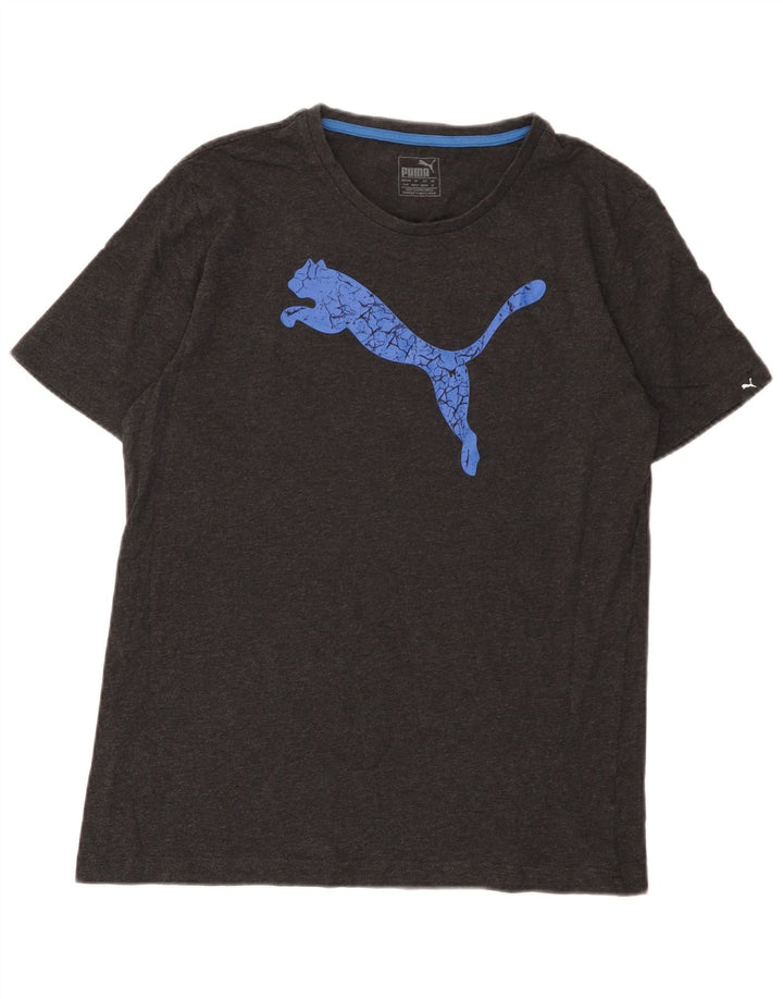 Puma Tee-Shirt Graphic Homme Gris Moyen