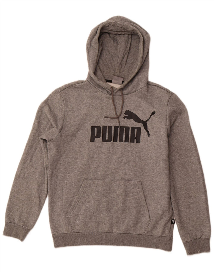 Puma Pull à Capuche Graphic Homme Gris Moyen