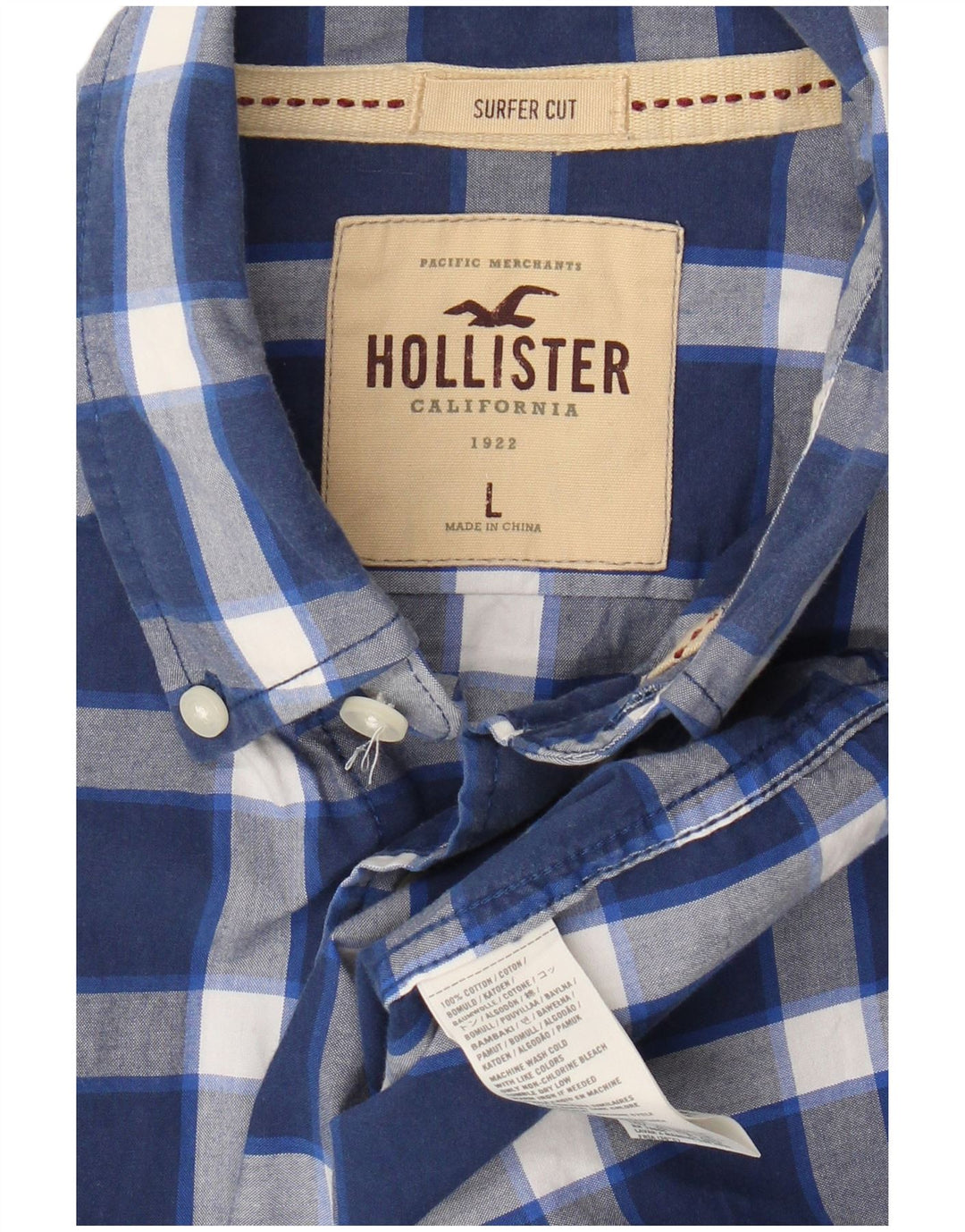 HOLLISTER Mens Surfer Cut Shirt Large Blue Check Cotton