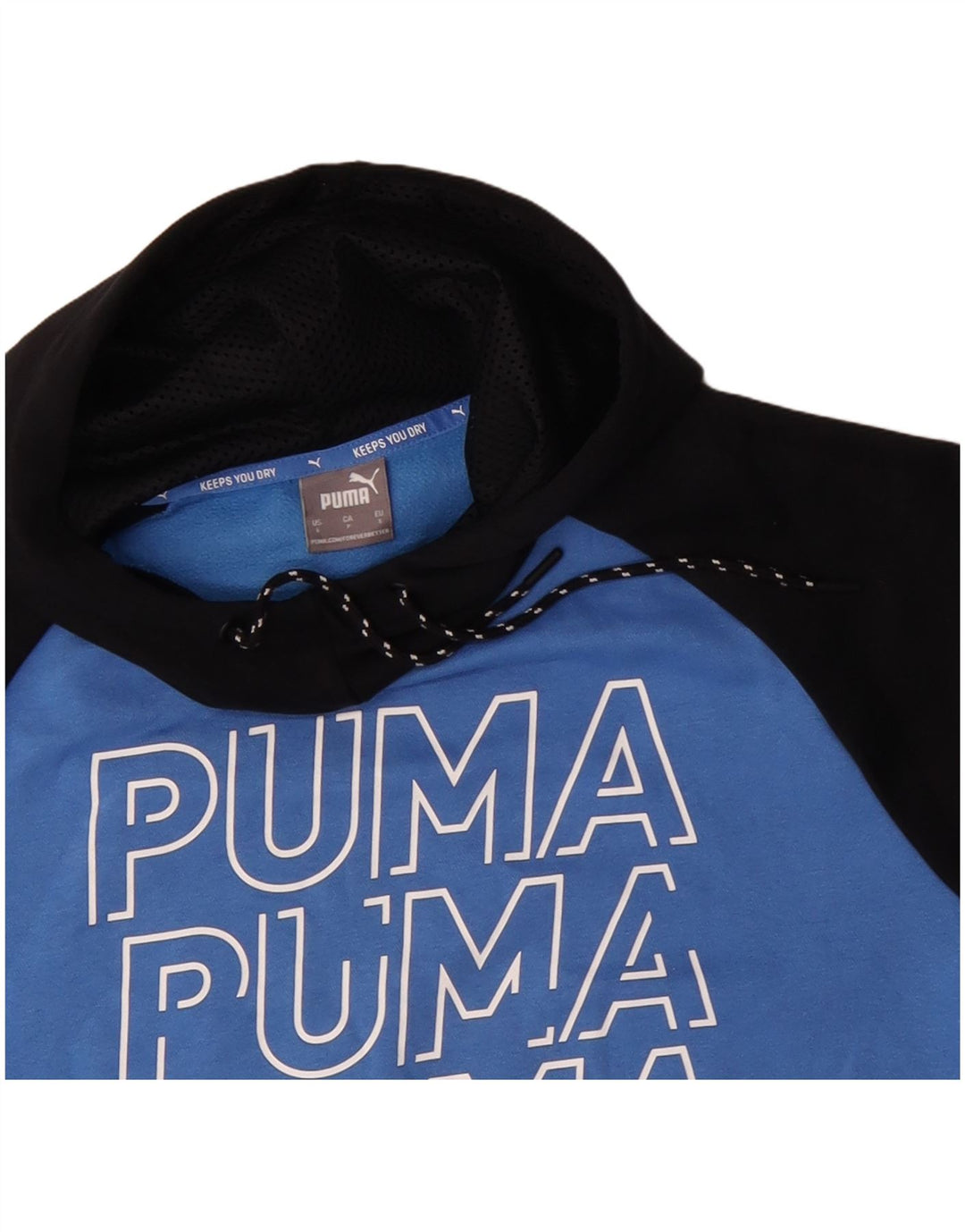 PUMA Sweat à Capuche Graphique Homme Petit Bleu Colorblock