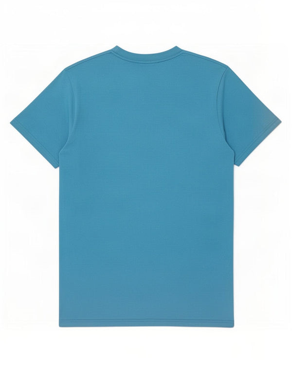 DC Mens Graphic T-Shirt Top Medium Blue Cotton