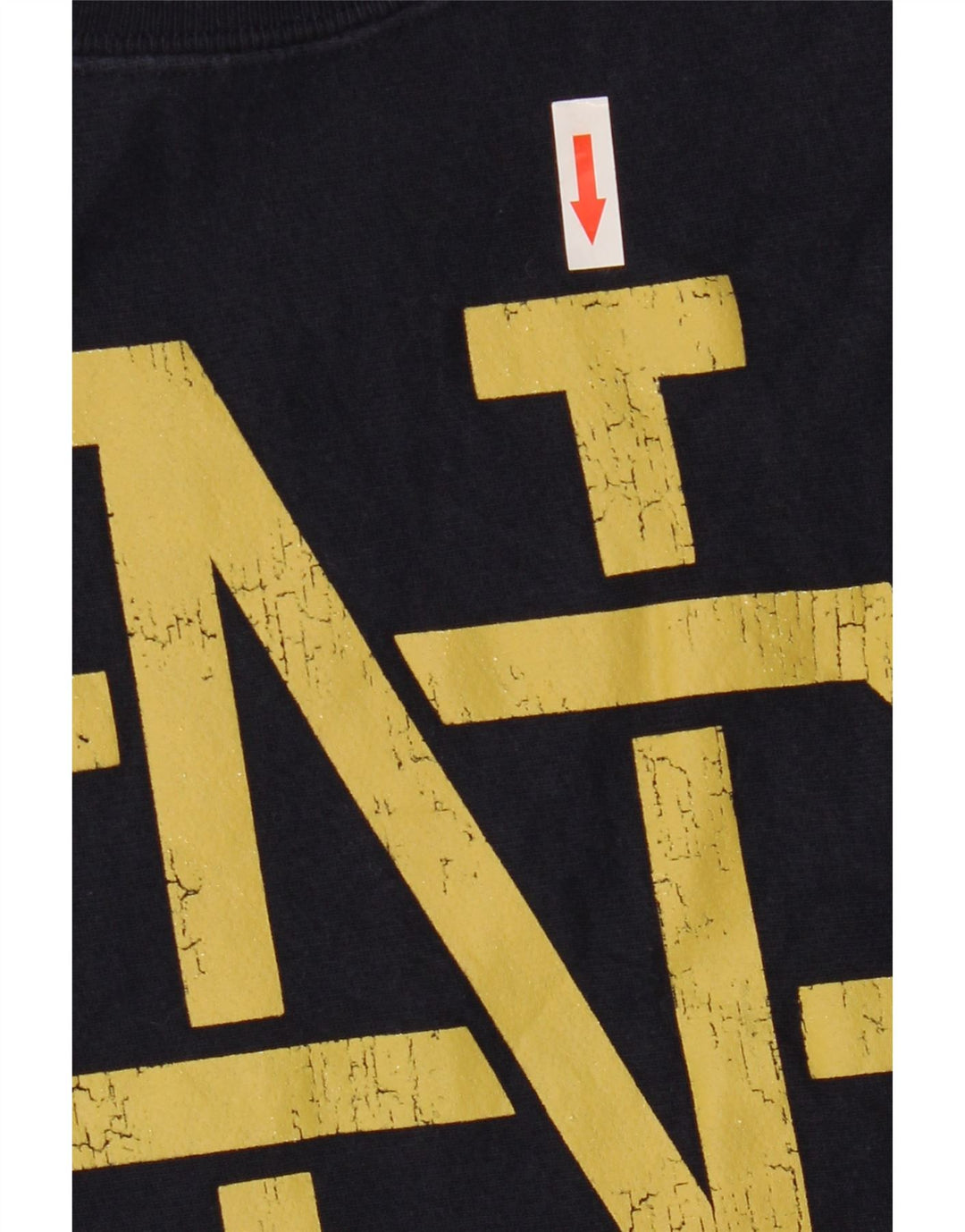 Champion Sweat-Shirt Reverse Weave Graphic Homme Bleu Marine Moyen