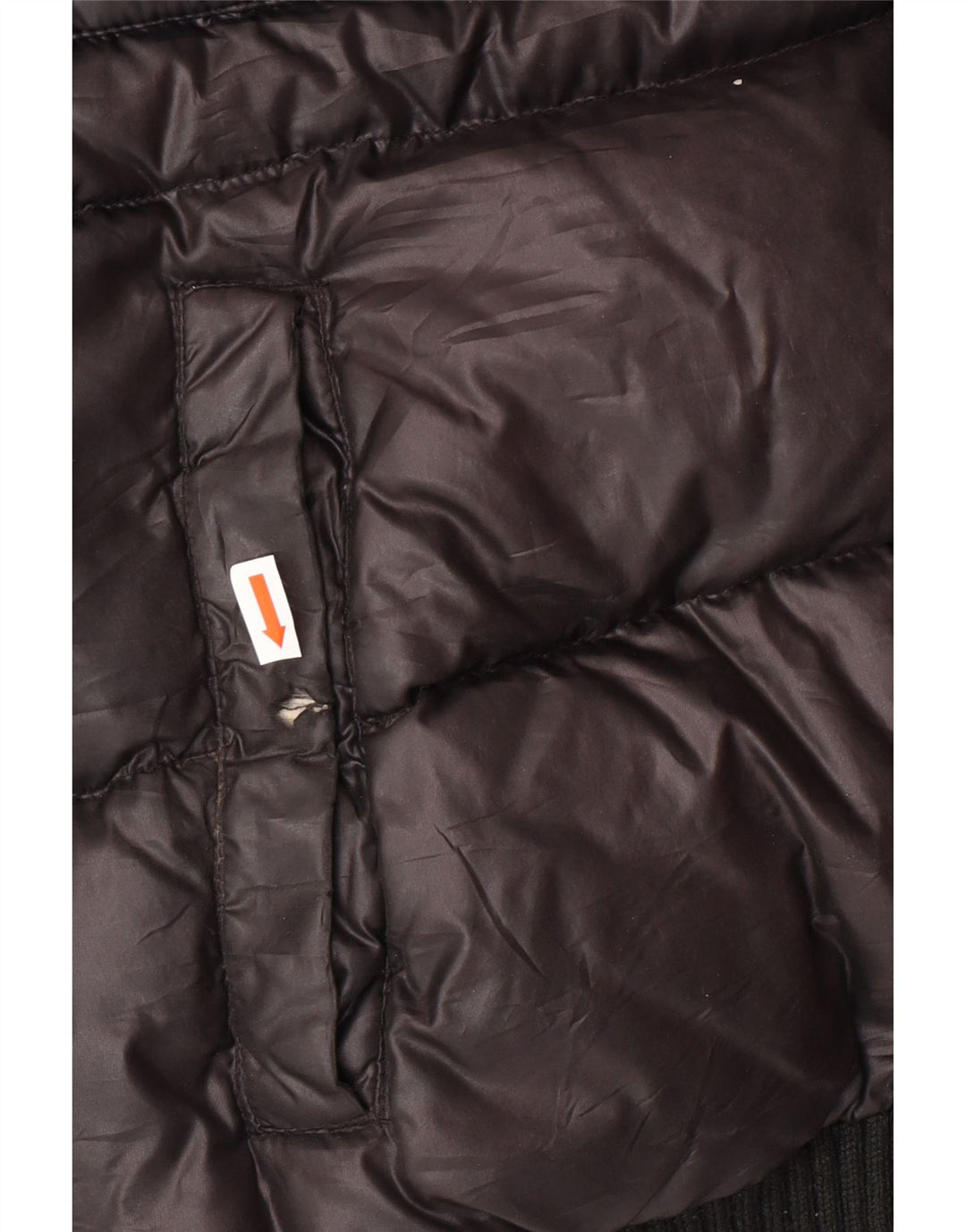 DOLOMITE Veste matelassée à capuche graphique pour hommes UK 38 Polyester noir moyen