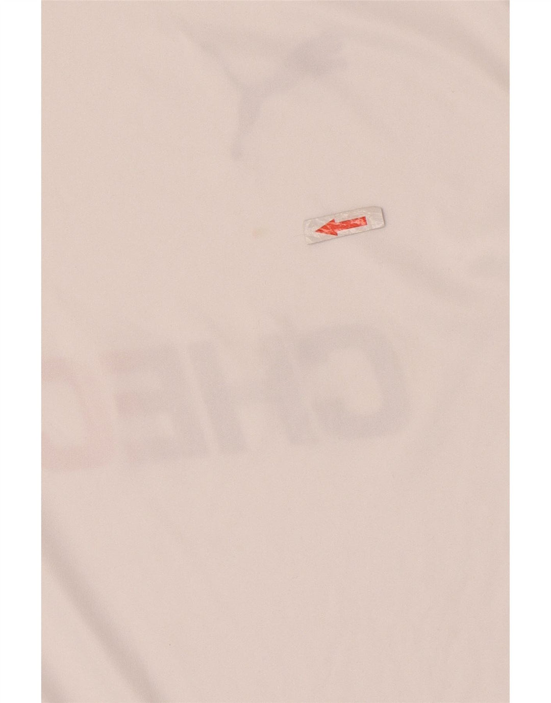 Puma T-Shirt Deutschland Graphic Homme Blanc Small Polyester Colorblock