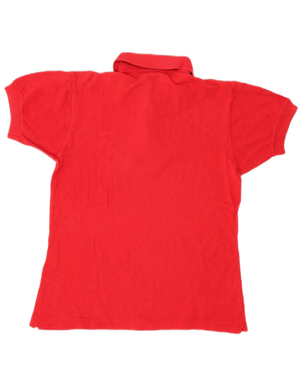 Lacoste Polo Homme Taille 3 Petit Coton Rouge