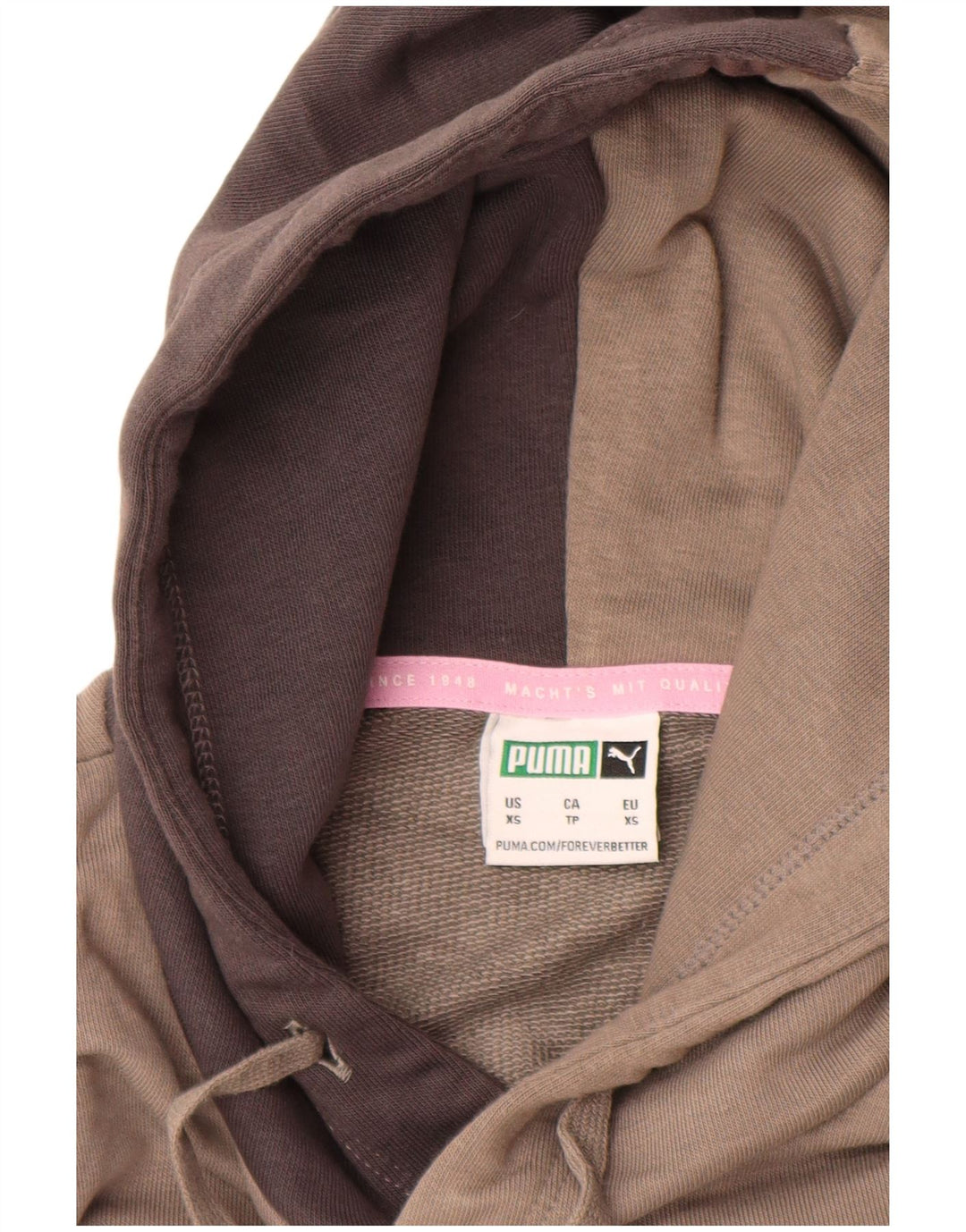 PUMA Sweat à capuche pour homme XS Gris Colorblock Coton