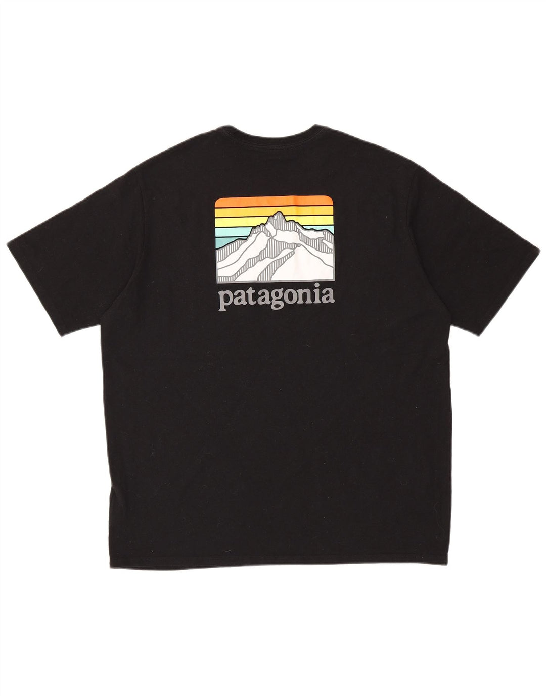 PATAGONIA Hommes Regular Fit Graphic T-Shirt Top Large Noir Coton