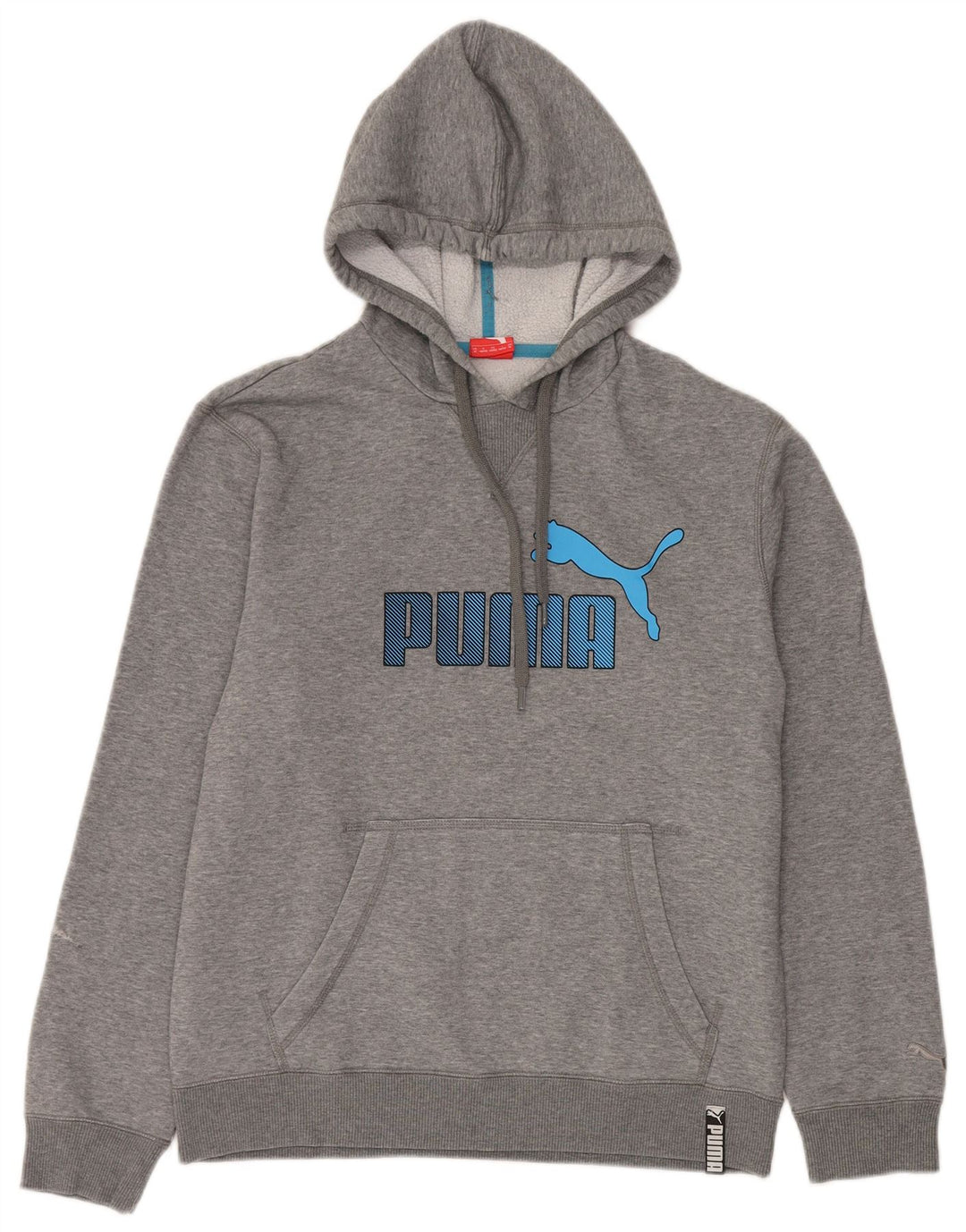 Puma Pull à Capuche Graphique Homme Gris Moyen