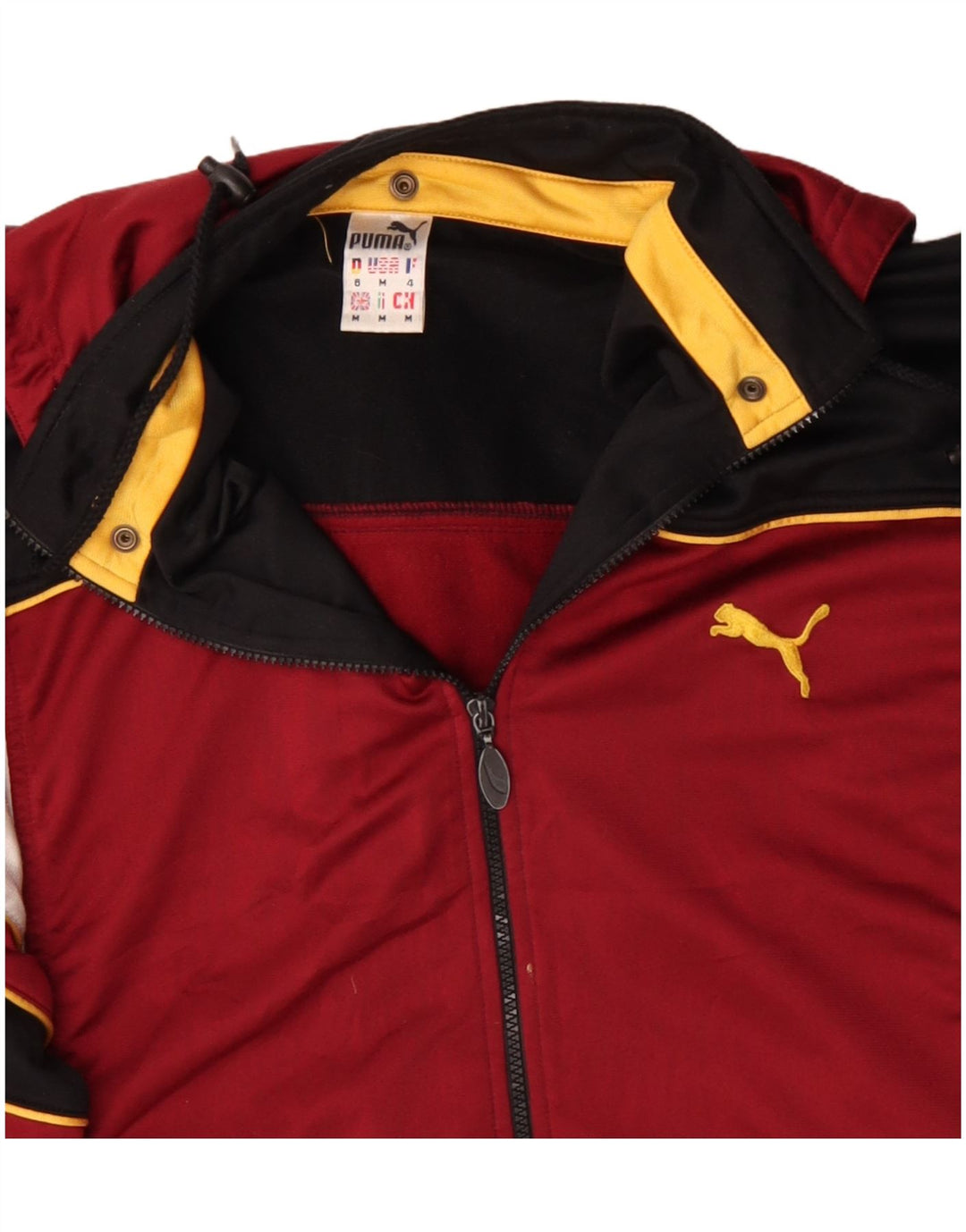 Puma Veste de Survêtement Graphique à Capuche Homme Bordeaux Moyen Colourblock
