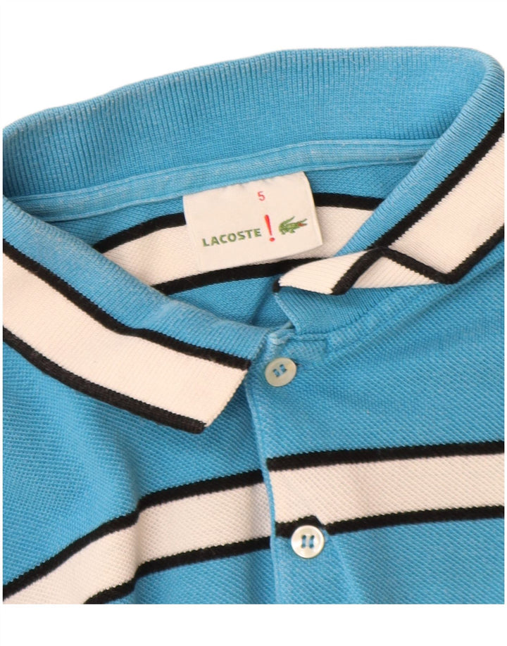 Lacoste Polo Homme Taille 5 Grand Coton Rayé Bleu