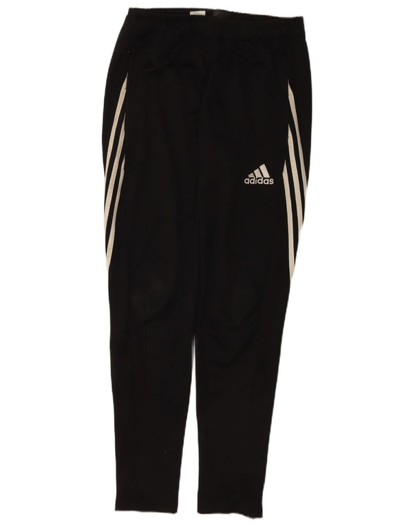 Adidas Pantalon de survêtement Climalite pour homme Petit Noir Polyester