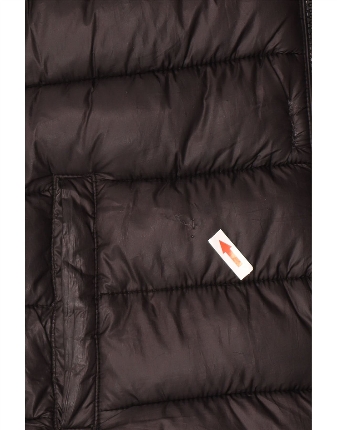 Champion Veste matelassée à capuche garçon 11-12 ans Noir Polyester