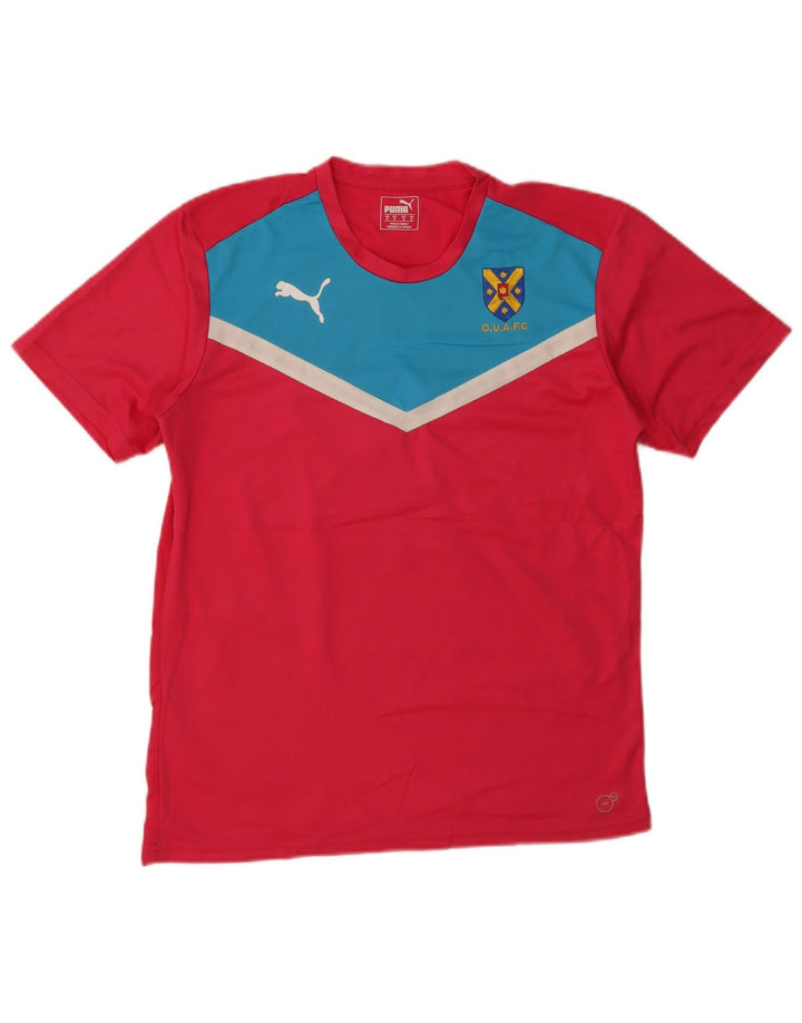 Puma Tee-Shirt Graphic Homme Rose Moyen Colourblock