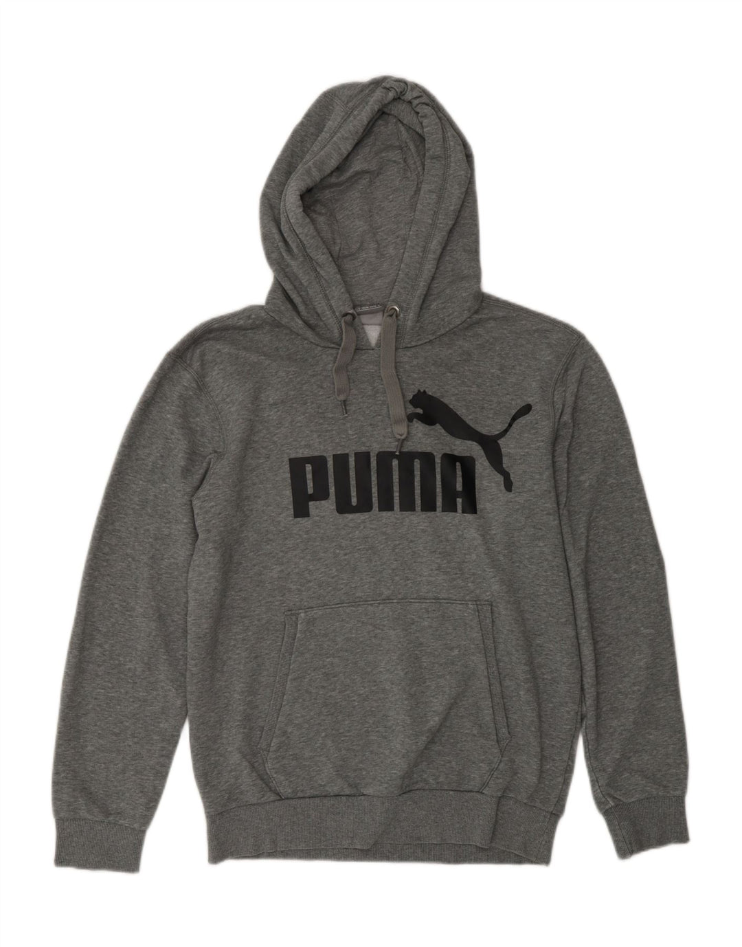PUMA Pull à capuche graphique homme petit gris moucheté en polyester