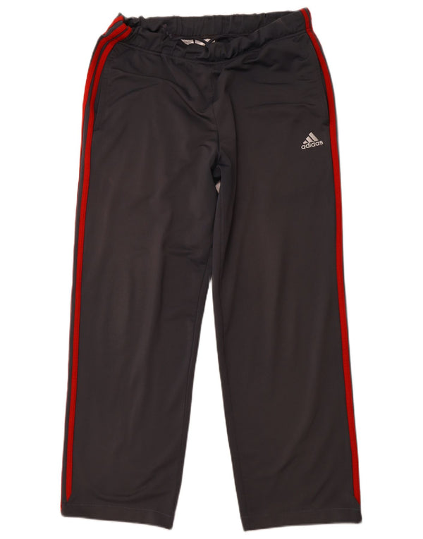 ADIDAS Pantalon de Survêtement Homme Gris Moyen Polyester