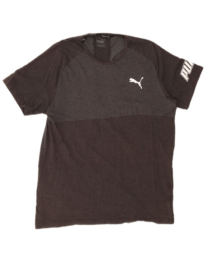 PUMA T-Shirt Graphique Homme 2XL Gris Colorblock