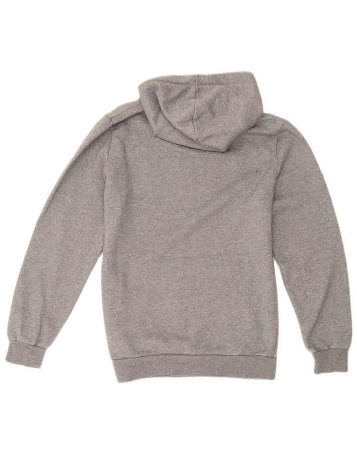 Puma Pull à capuche graphique homme petit gris coton