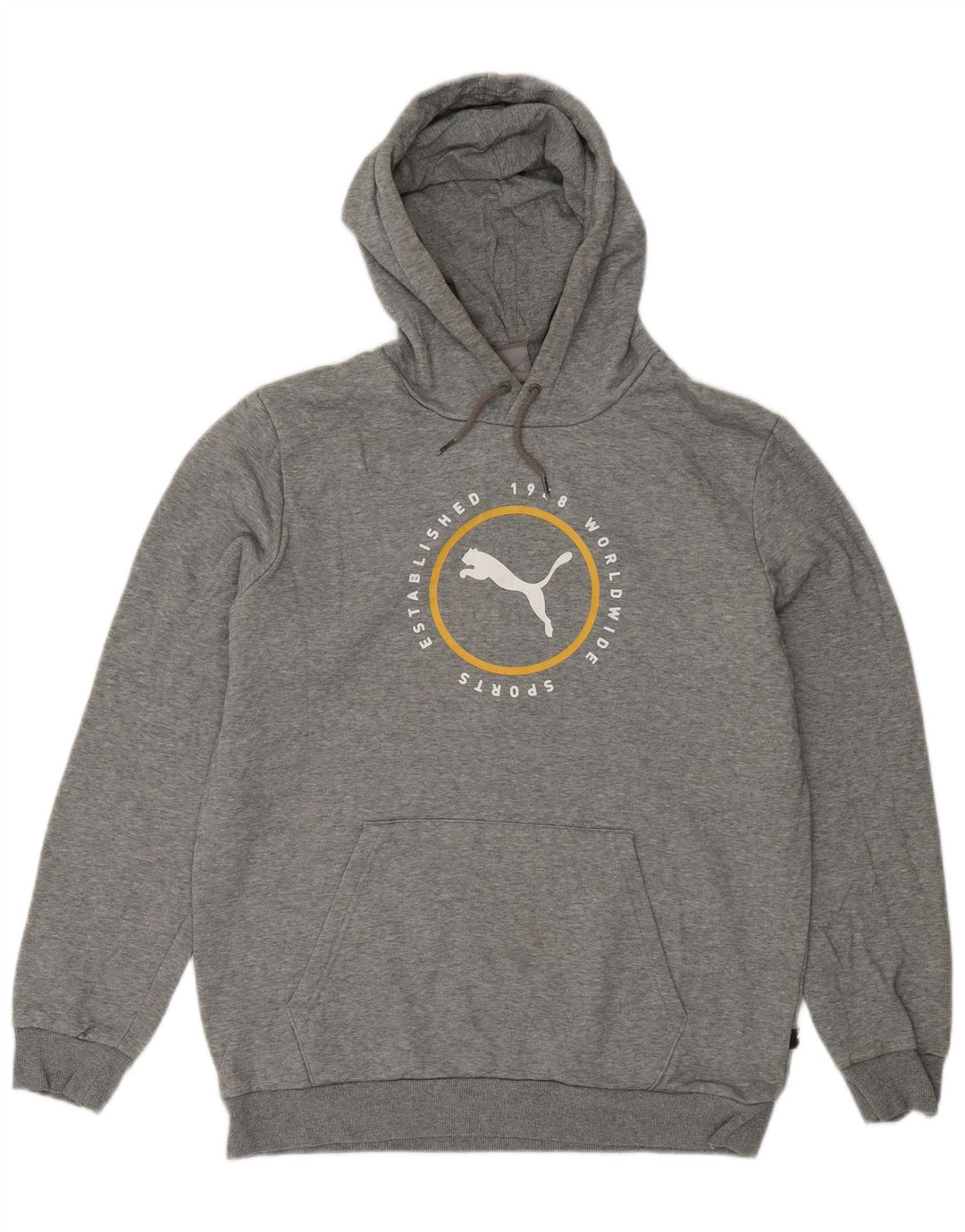 PUMA Pull à Capuche Graphique Homme Gris Moyen Coton