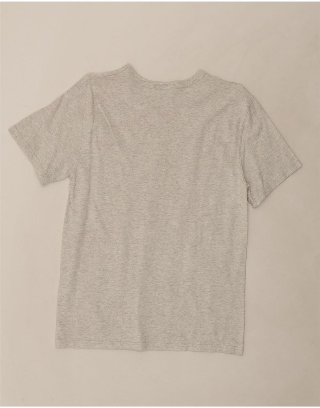 CHAMPION Mens Graphic T-Shirt Top Small Grey Cotton Vintage Champion and Second-Hand Champion from Messina Hembry 