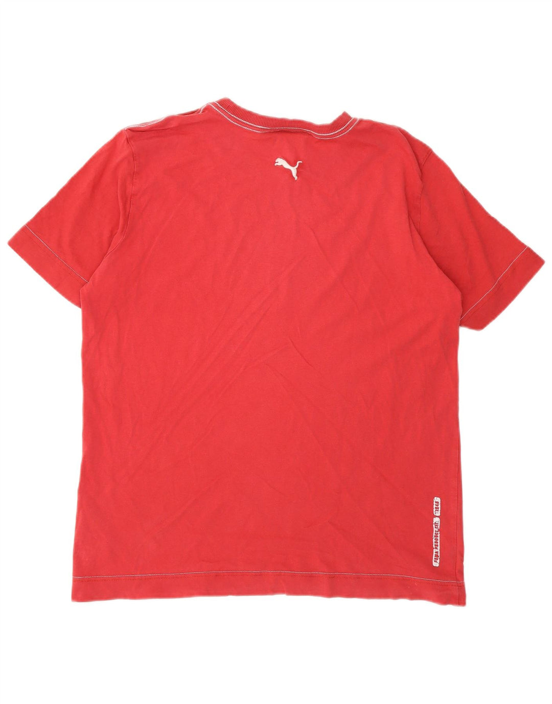 Puma Tee-Shirt Graphic Homme Rouge Moyen
