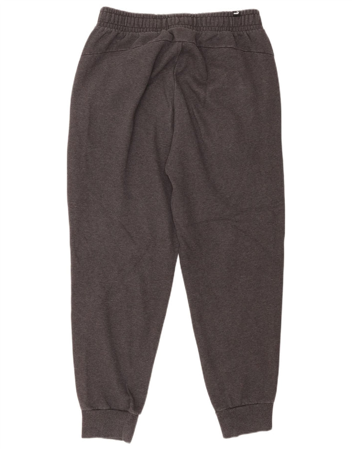 Puma Homme Grand Gris Coton