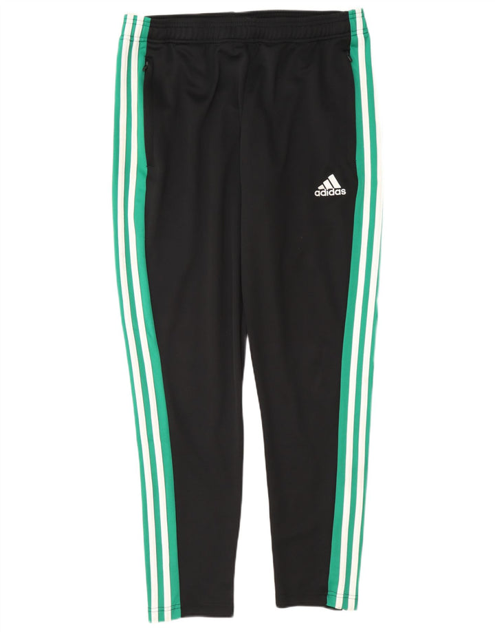Adidas Pantalon de survêtement Climalite pour homme Large Noir Colorblock Polyester
