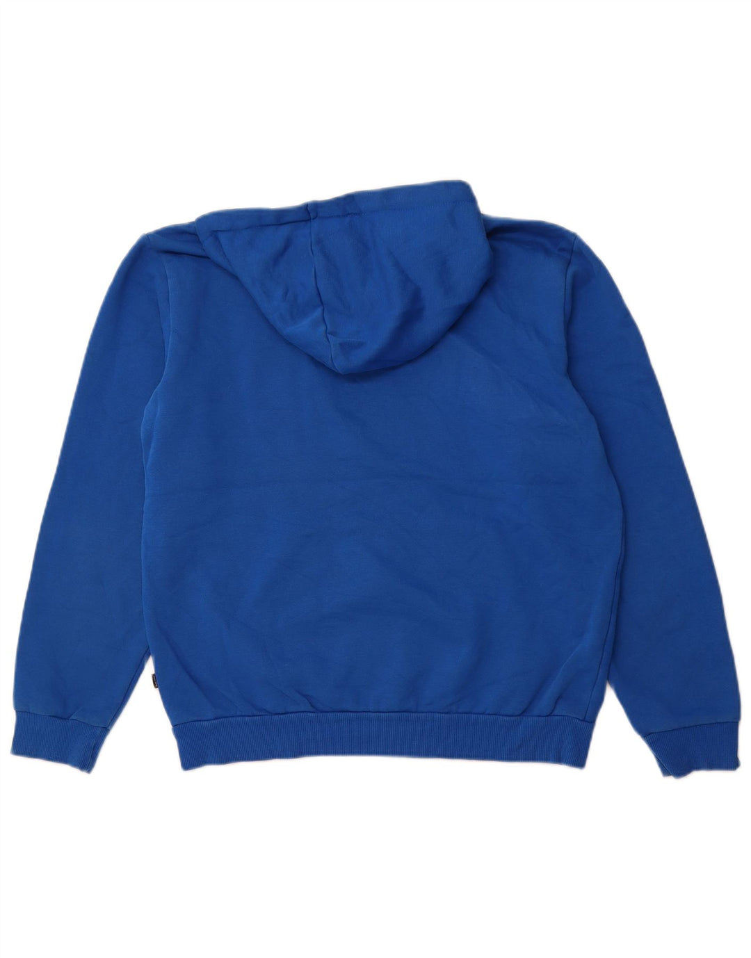 PUMA Sweat à Capuche Graphique Homme Bleu Moyen Coton