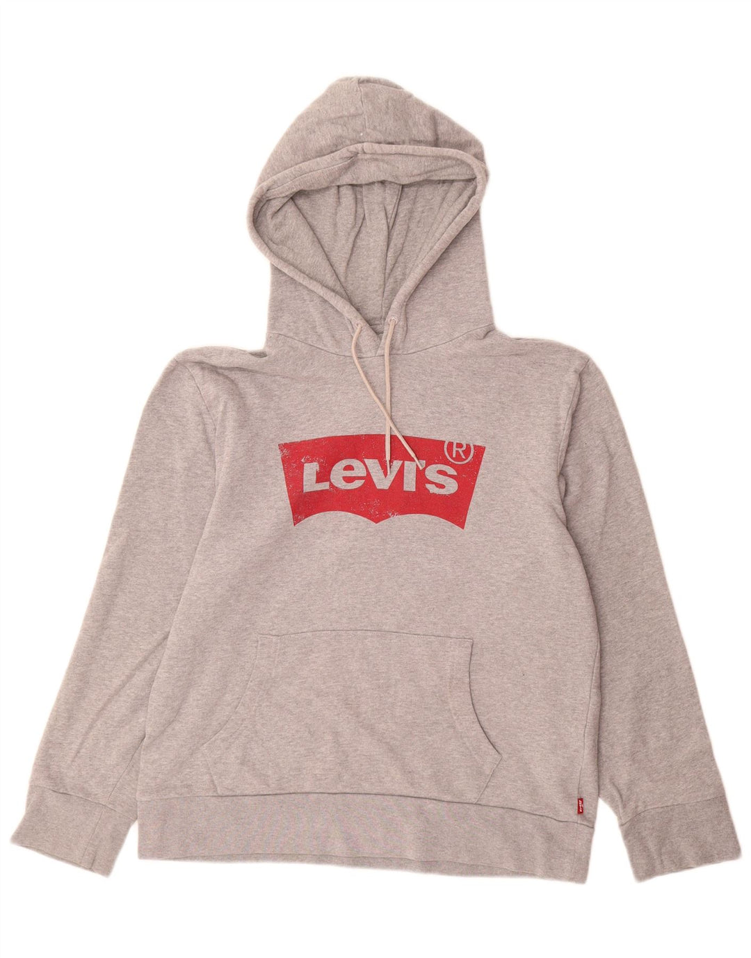 LEVI'S Pull à Capuche Graphique Homme Gris Moyen Coton
