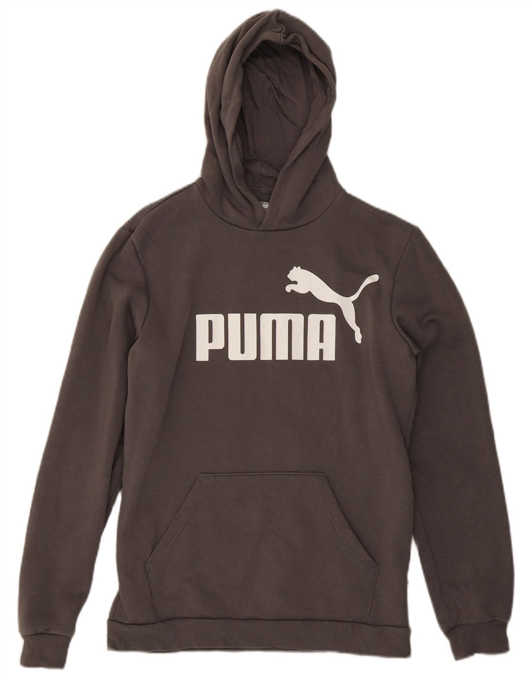 PUMA Pull à capuche graphique garçon 15-16 ans Gris Coton