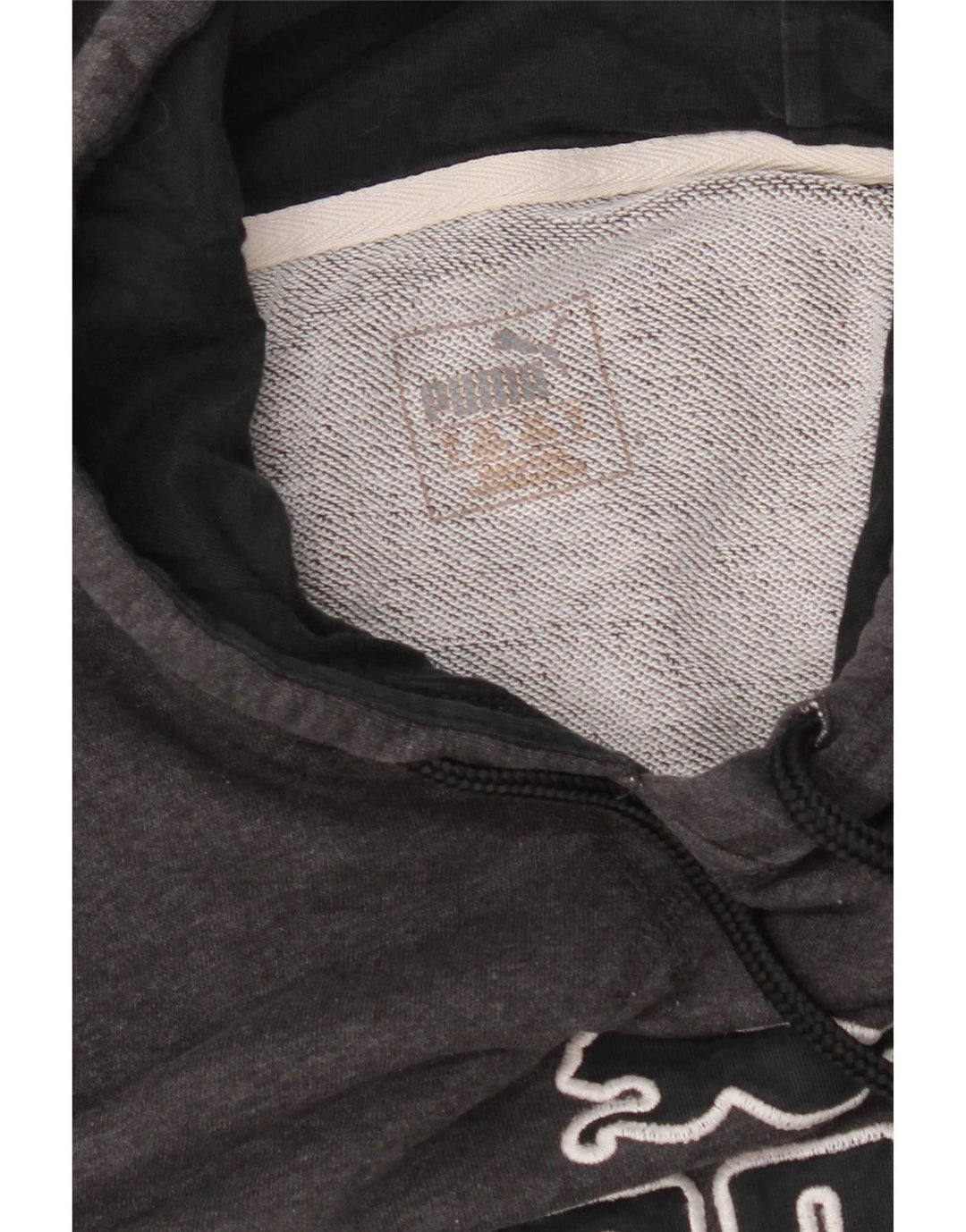 Puma Pull à Capuche Graphique Homme Gris Moyen