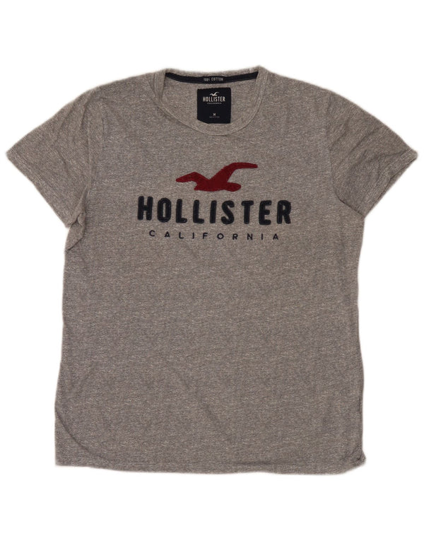 Hollister T-Shirt Graphique Homme Gris Moyen Coton